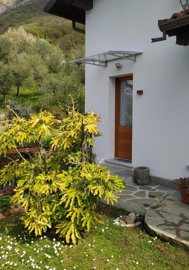 Il Bogno B&B Лиерна Екстериор снимка