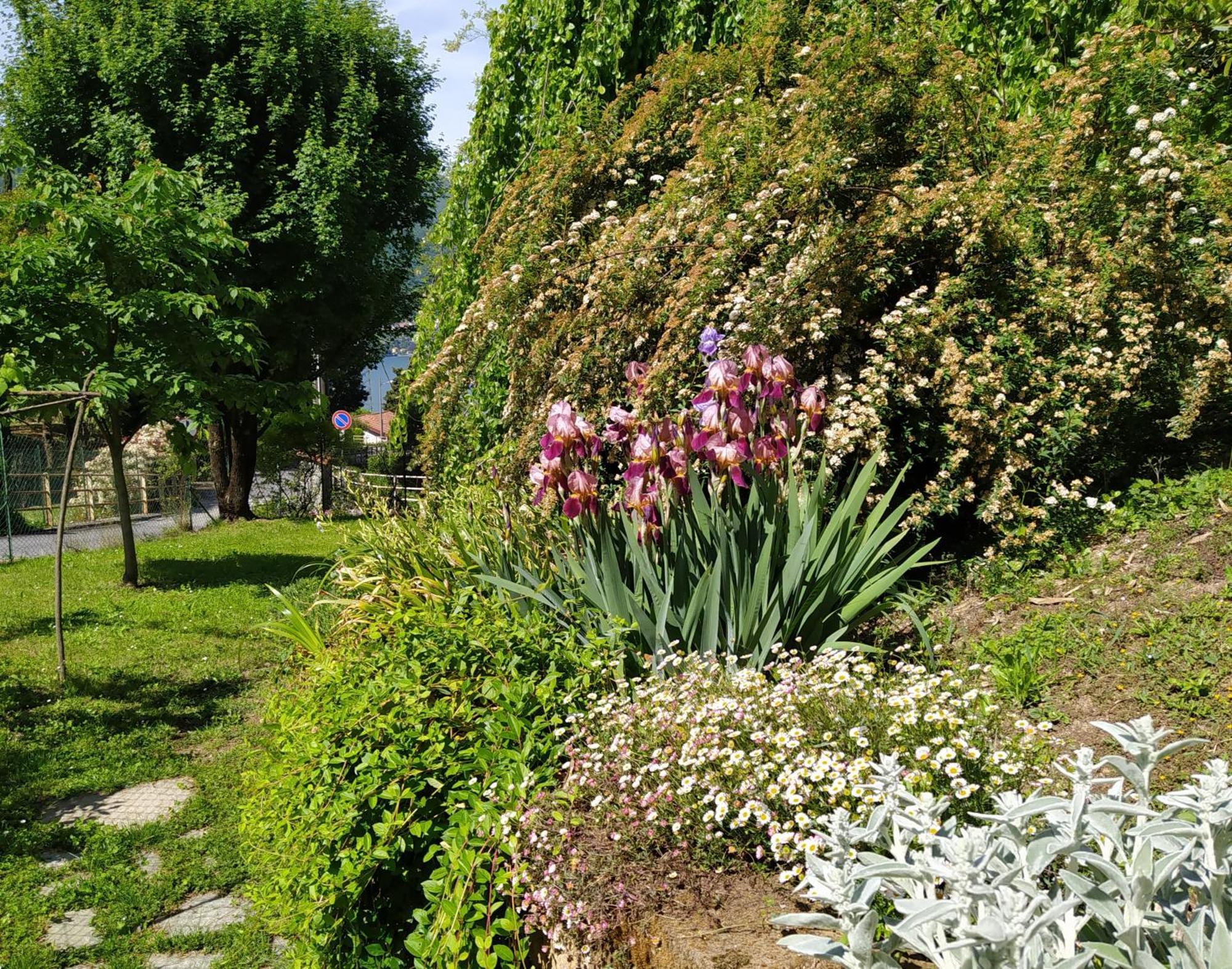 Il Bogno B&B Лиерна Екстериор снимка