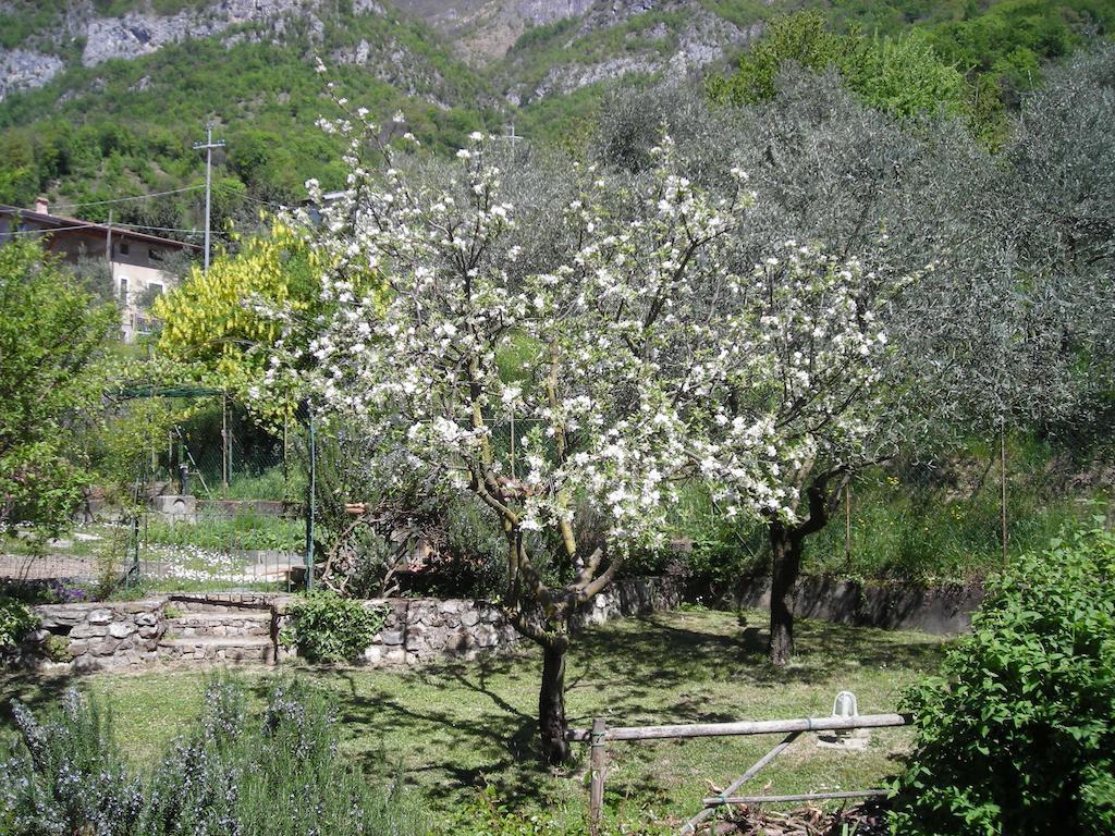 Il Bogno B&B Лиерна Екстериор снимка