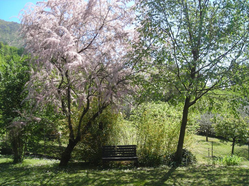 Il Bogno B&B Лиерна Екстериор снимка
